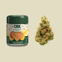 Green Crack | Heirbloom | Legacy