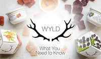 Promotional image for Wyld & Good Tide Gummies 50% OFF