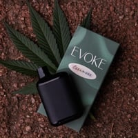 Promotional image for 2 for $70 - EVOKE Essences!