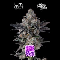 Best Weed Dispensary and Delivery in Laguna Woods - The Artist Tree