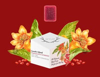 Pomegranate 1:1 CBD + Hybrid Enhanced Gummies | 100mg:100mg