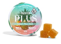 Island Maui Haze Sativa Solventless [10pk] (100mg THC)