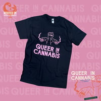 Shop Cannabis in Boston | Rooted In