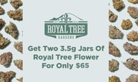 Promotional image for Two Royal Tree 1/8ths For Only $65