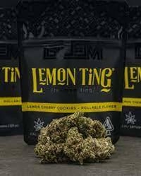 Lemon Ting Lemon Ting