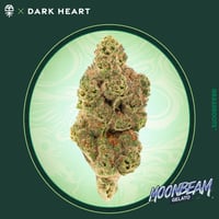 Moon Beam Gelato