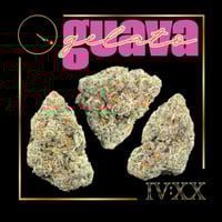 NP Four20 - Guava Gelato Flower