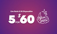 Promotional image for Disposables LR Neon Moon .5g 5 for $60