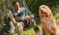 20% off - Dogwalker Packs | 4.2g