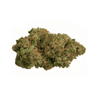 Garlic Breath | Exclusive Flower