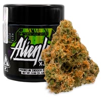 バクバクファクトリーページ　Tangie バクバクファクトリーページ Tangie Tangie Weed Strain