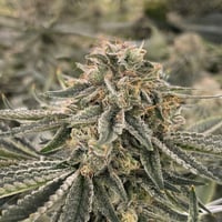 Shop Permanent Marker | Maui Grown Therapies - Kahului Dispensary
