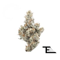 Best Weed Dispensary in Beverly Hills - Visit The Artist Tree Store