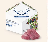 Huckleberry Hybrid Enhanced Gummies | 100mg THC