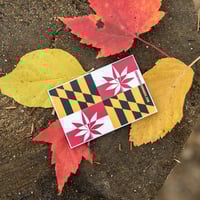 MD Flag Magnet
