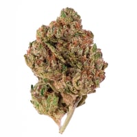 Purple Lotus San Jose, CA View Live Menu and Order Online with Jane