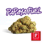 Papaya Fuel