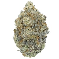 Shop Tangie x Thank You Jerry Pre Ground | Full Harvest Moonz
