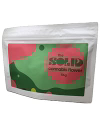 Papaya x Jelly Donut [56g]