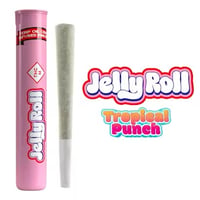 Tropical Punch - 1.1g - Infused Preroll