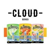 Dream Team |  Strawberry Lemonade CBD 1:1