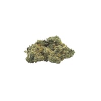 Lava Cake | Everyday Machine Trimmed Flower