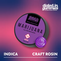 300mg - Grape Punch - Rosin Gummies (10pk) 300mg - Grape Punch - Rosin Gummies (10pk)