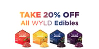 Promotional image for Take 20% OFF WYLD