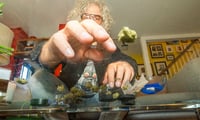 Promotional image for 20% off - All Concentrates