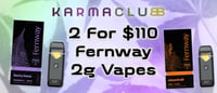 Promotional image for 2 for $110: Fernway 2g Pro Traveler Vapes