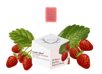Strawberry 20:1 CBD + Hybrid Enhanced Gummies | 200mg:10mg Strawberry 20:1 CBD + Hybrid Enhanced Gummies | 200mg:10mg