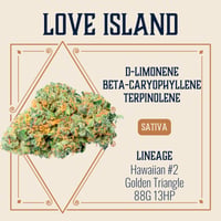 Love Island Love Island