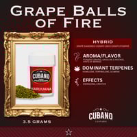 ethos Penetrate 13ポンド Shop Ethos Apex | Root 66 - South Grand Dispensary St. Louis, MO