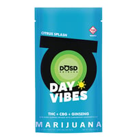 Shop Day Vibes CBG - Watermelon [20pk] (1000mg THC/200mg CBG/500mg