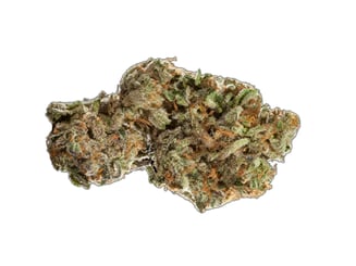 Apple Jack by Oakland Loud