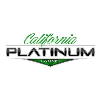 Apple Fritter by California Platinum Farms
