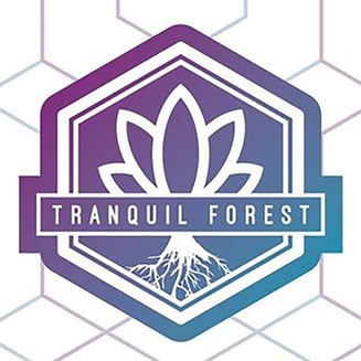 Drama Queen by Tranquil Forest