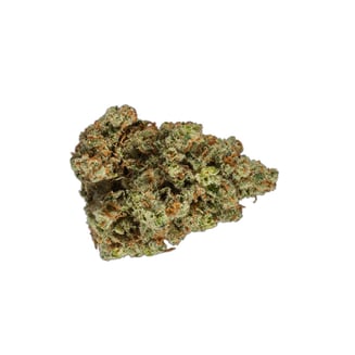 The Original Jack Herer — Master Jack