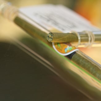 Maui Mango Diesel [1g] by Pakalolo Supply Company