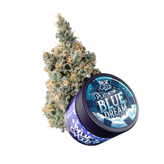 Platinum Blue Dream | Blue Chip | Cannabis Strain