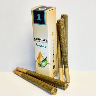 ACDC [1g] by Landrace Labs