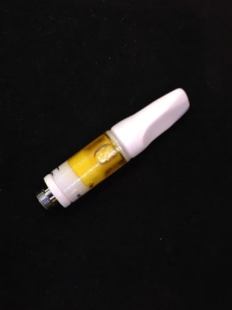Key Lime Pie by Humboldt Terp Council