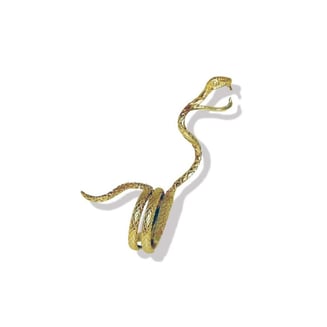 Snake in the Grass Brass Holder Ring
