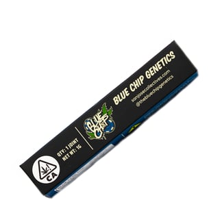 Z Scotti [1.2g] by Blue Chip