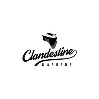 Apple Candie [.5g] by Clandestine Gardens