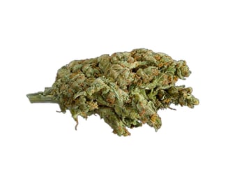 Amnesia Haze x Face Off by Delights