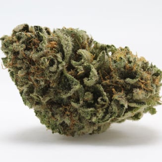 Z3 ZKZ by Flora Cannabis