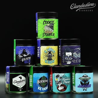 Alaskan Thunder Fuck by Clandestine Gardens