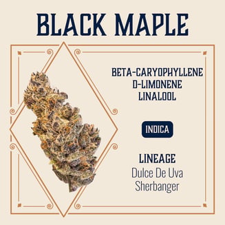 Black Maple