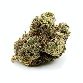 V Kush by Tryke